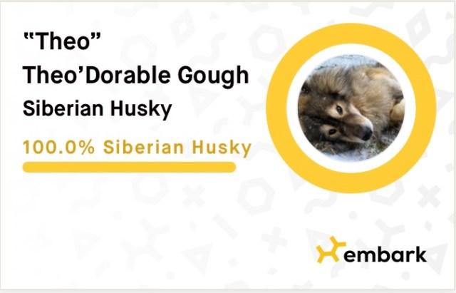 6769D080-5751-4FD1-9912-50B75654F04B