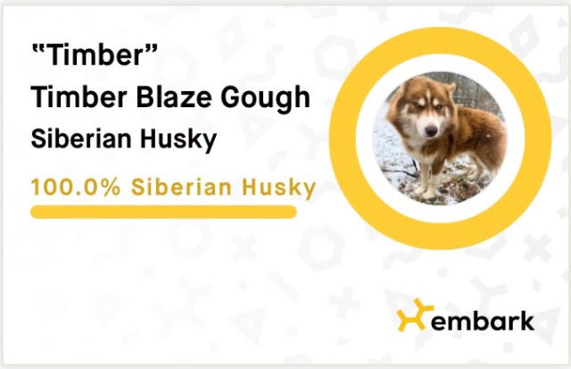 869BE04F-2E8A-43ED-8E67-DE7ED3896975